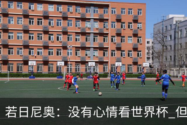 若日尼奥：没有心情看世界杯 但决赛真的很棒